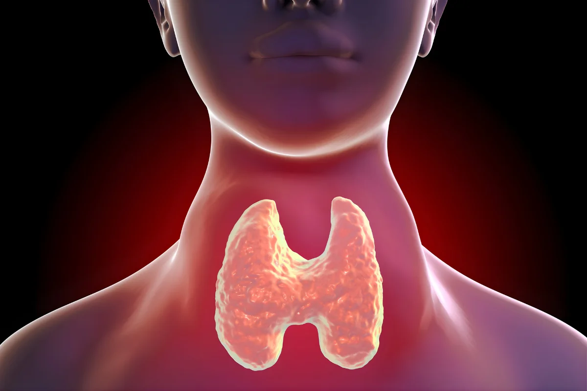  Thyroid & Metabolic Disorder Management